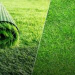 Artificial Grass over Natural Grass