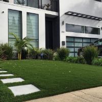 Awesome Outdoor Artificial Grass