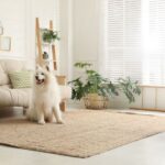 Pets and Rugs Tips